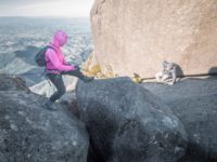 Pico do Itaguaré - 23 e 24 de Agosto